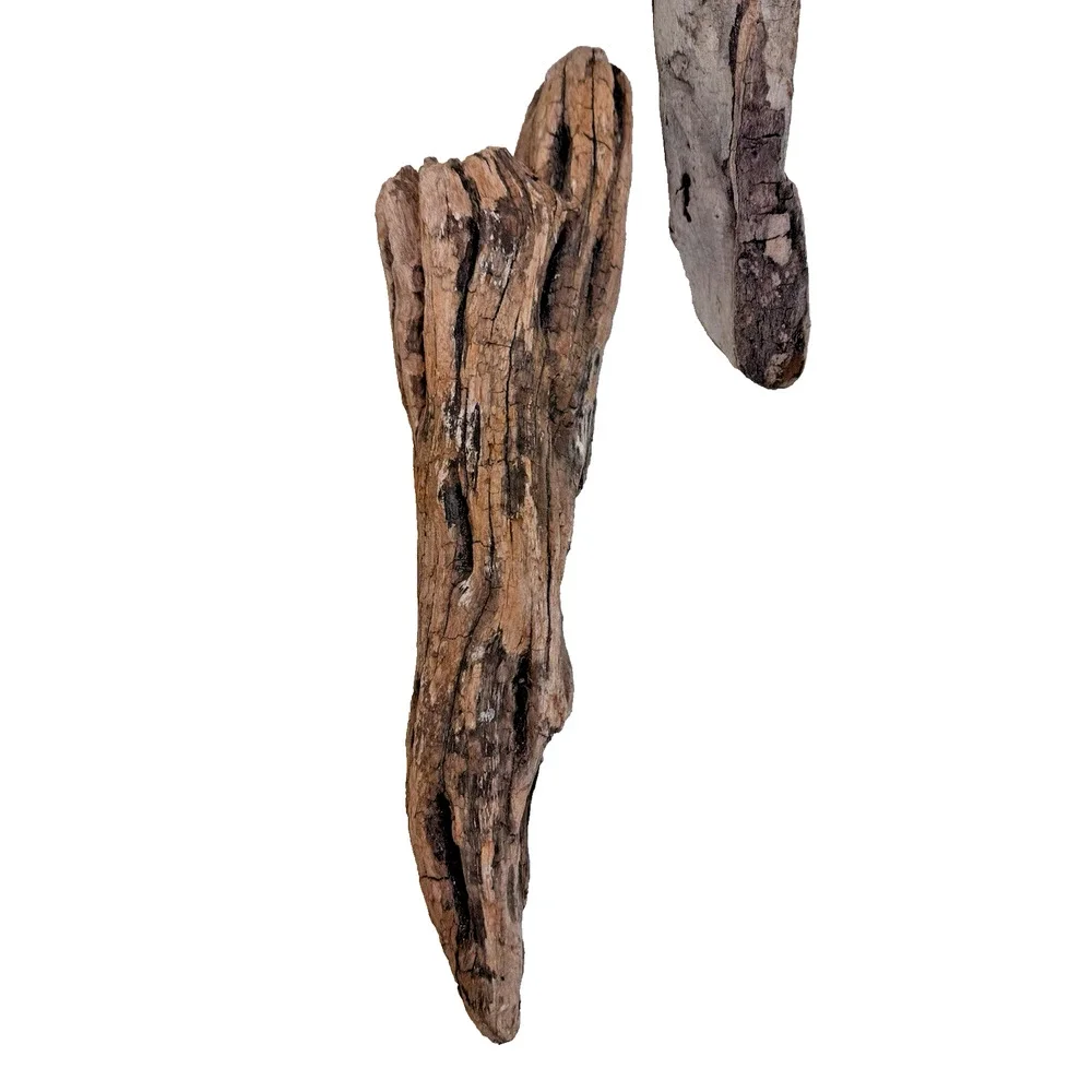 Set of 2 Cali. Coast Wavy Natural Driftwood Beach Burlwood 1.10 Lbs Terrarium